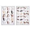Ashdene Best Breed Horse Set Of 2 Kitchen Towels