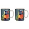 2pk Ashdene New Bone China 350ml Modern Birds Rainbow Lorikeet Mug