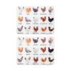 2x Ashdene Best In Breed Farm Surface Protector Placemat Chicken Animal Art