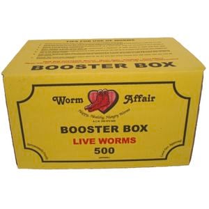 Worm Affair Live Organic Worm Booster - Box of 500 