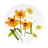 Leni Handcrafted Floral Resin Coaster W/ Real Orange Flowers Clear 10x10x0.6cm