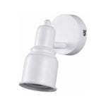 Brilliant Single White Iconic Spotlight