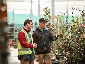 Bunnings team member servicing a customer in the landscaping yard