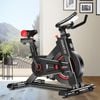 PowerTrain Black IS500 Heavy Flywheel Exercise Spin Bike