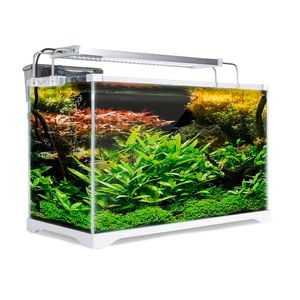 Fish Tanks