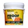 Taubmans 15L Accent Low Sheen Sunproof Exterior Paint