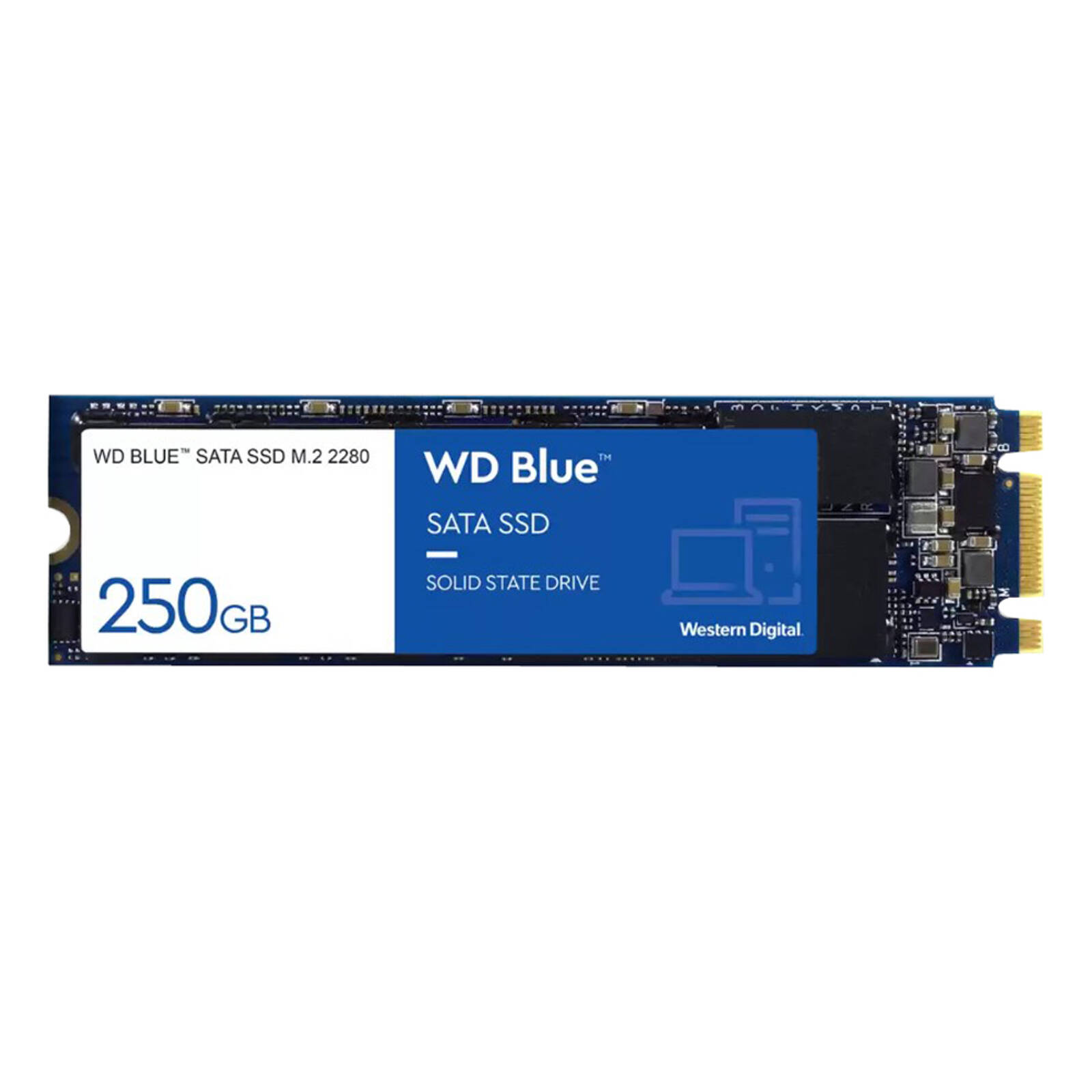 WD Blue 250GB SATA SSD 4個セット Amazon | Western Digital(ウエスタンデジタル) 250GB WD Blue
