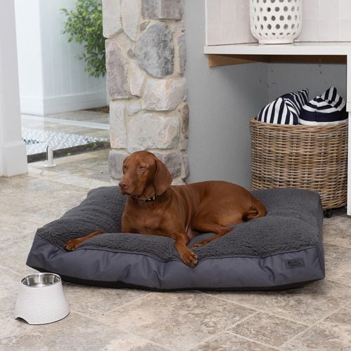 Baxter Bone Large Charcoal Pillow Bed Bunnings Australia