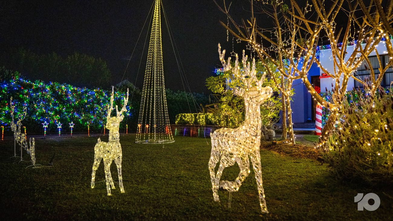 Front yard at night decorated with illuminated reindeer, Christmas tree lights and strings of warm white and multicoloured lights.