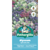 Fothergill's Alyssum Aphrodite Flower Seeds