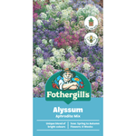 Fothergill's Alyssum Aphrodite Flower Seeds