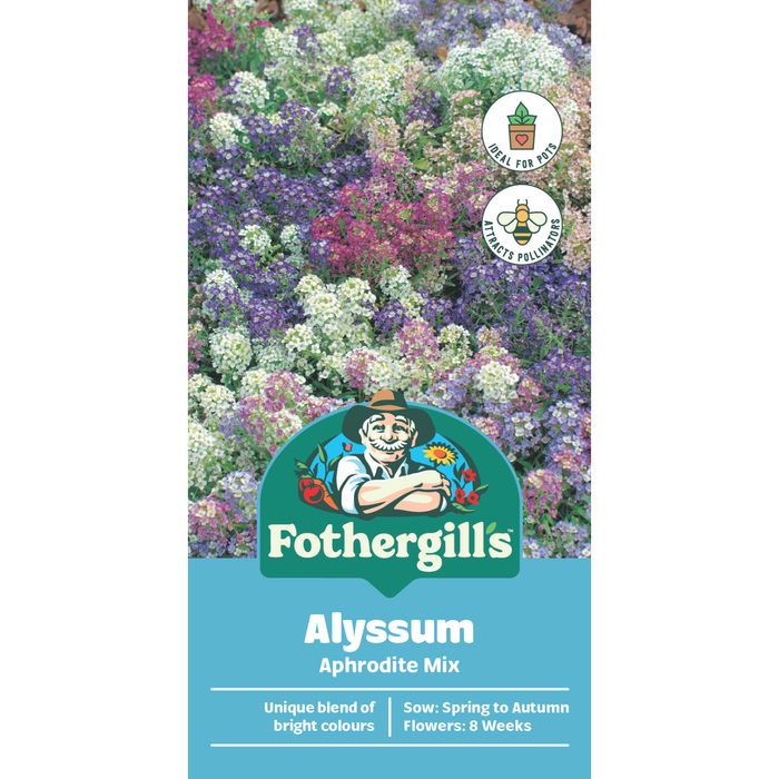 Fothergill's Alyssum Aphrodite Flower Seeds