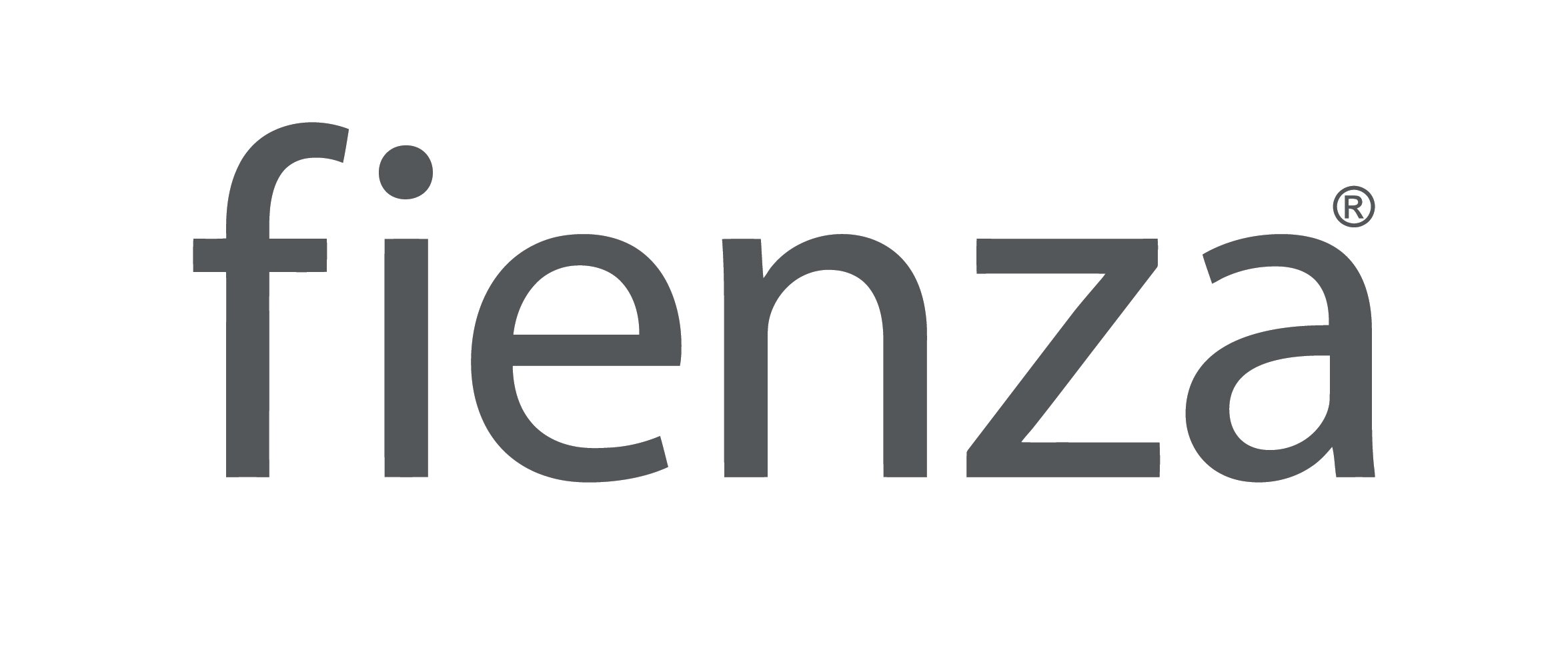 Logo for Fienza in charcoal colourway