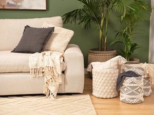 Couch with cushions and a blanket on it, on rug with a pot plant next to it