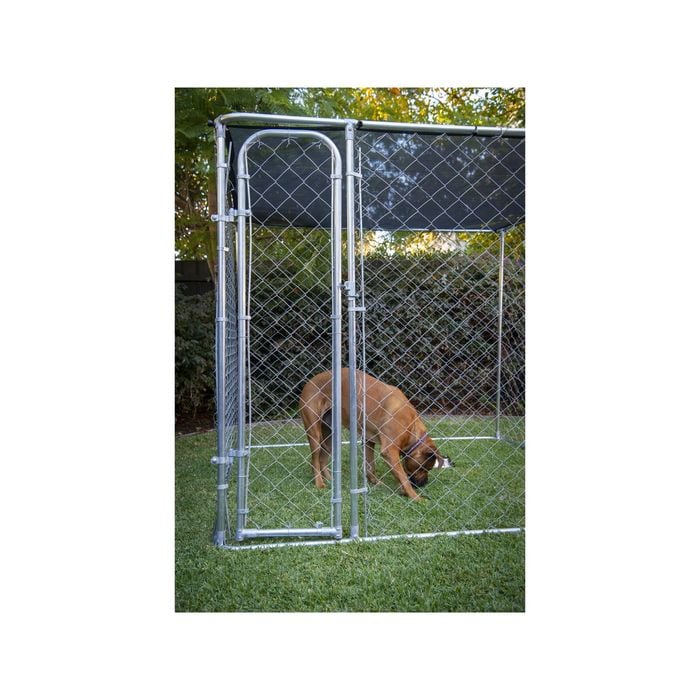 RapidMesh 2290 x 2290 x 1800mm Chain Link Animal Enclosure Bunnings Australia