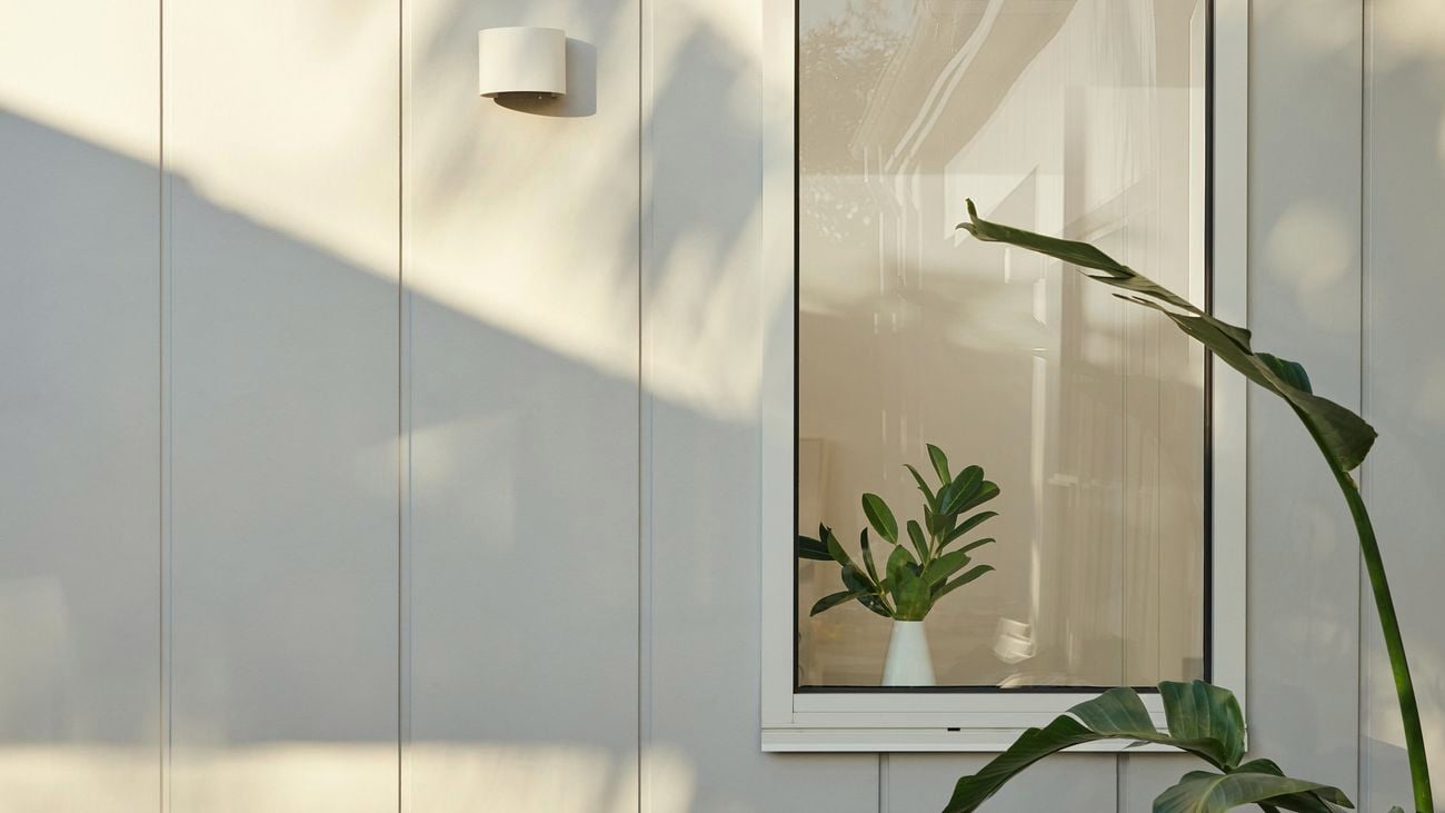 Outdoor deck with a large potted plant and a window.