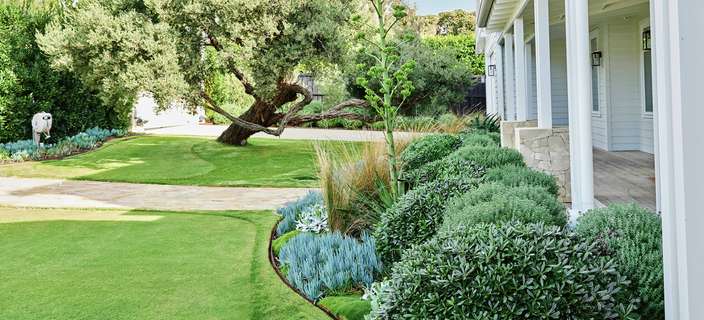 A beautifully landscaped garden with a large tree, manicured lawn, diverse plants and a white house with a verandah.