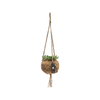 Kokodama 170mm Natural Hanging Ball With Succulent