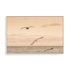 Artey | Sunset Flocks - Framed Canvas - White Frame - 100 x 150cm