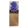 Yarra Valley Bulbs Hyacinth Blue - 12 Pack