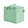 Avanti Canvas Lunch Bag Soft Mint