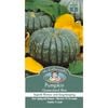 Mr Fothergill's Seed Pumpkin Queensland Blue