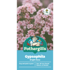 Fothergill's Bright Rose Gypsophila Flower Seeds