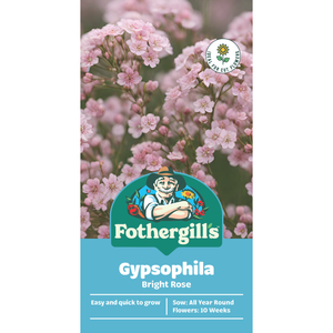 Fothergill's Bright Rose Gypsophila Flower Seeds
