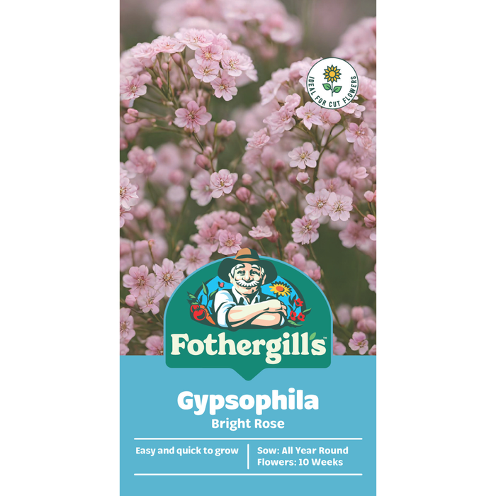 Fothergill's Bright Rose Gypsophila Flower Seeds