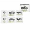 Ashdene Meet The Girls - Coasters (Pack of 6)
