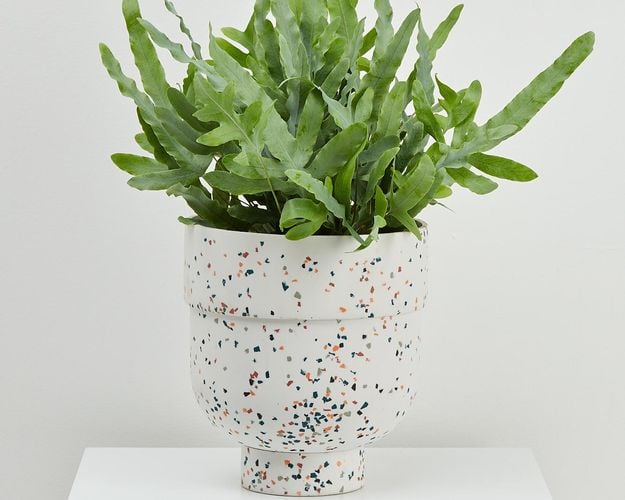 Funnel Pot - Terrazzo White w plant