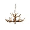 Oriel Lighting Hyort Kd Version Designer Pendant Light 6lt