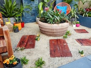 DIY Step Image - How to give your front yard a makeover . Blob storage upload.