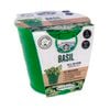 Mr Fothergill's Basil Grow Kit Tin