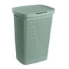 Ezy Storage 57L Mint Green With Lid Mode Laundry Hamper