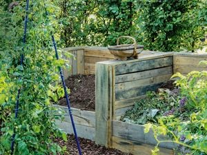 Two large timber compost bins in a back garden