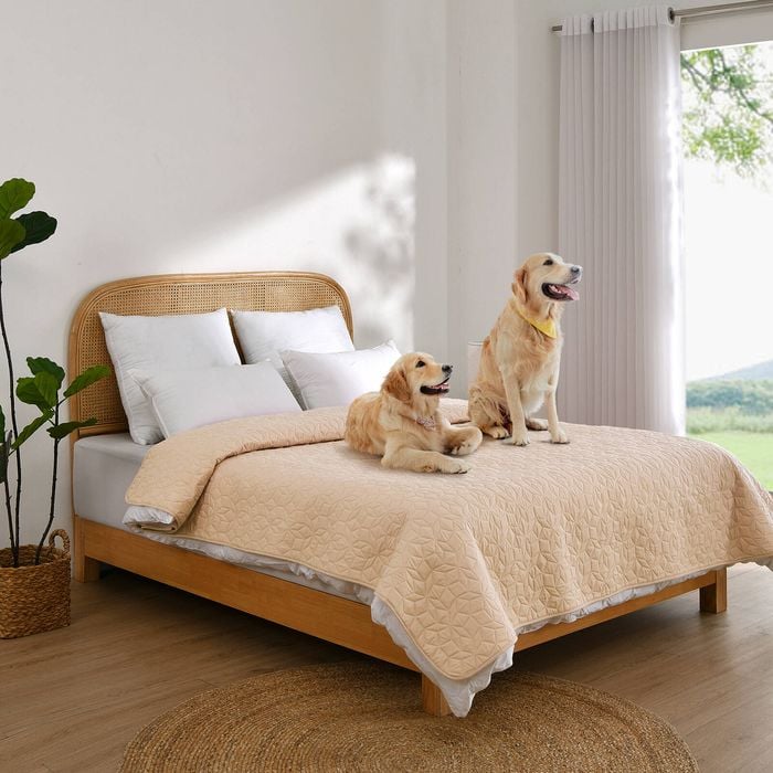 Charlie's Sofur Waterproof Dog Bed Cover Protector King/Super King 208x305cm Oat