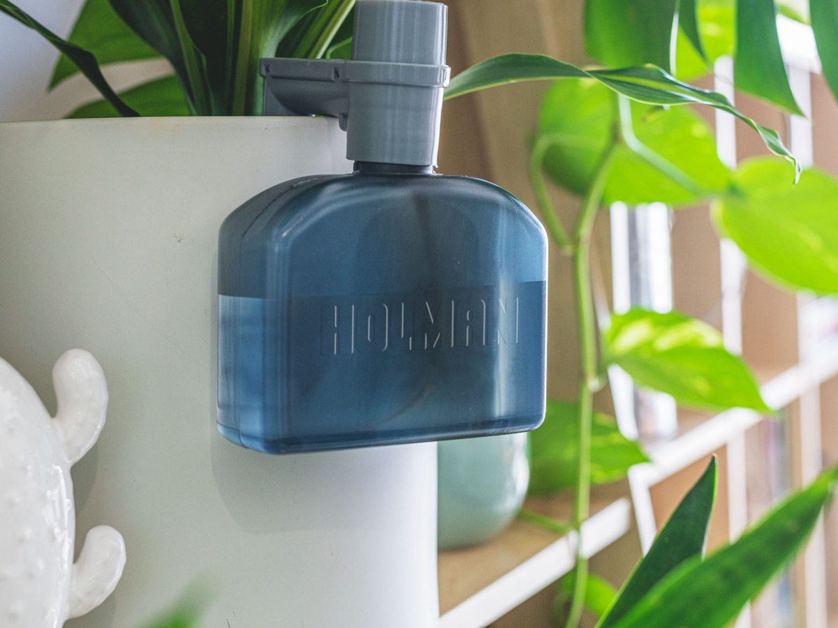The Easy Way To Keep Your Pot Plants Alive - Bunnings Australia