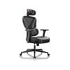Eureka GC06 NORN Series Ergonomic Chair -Black/Grey