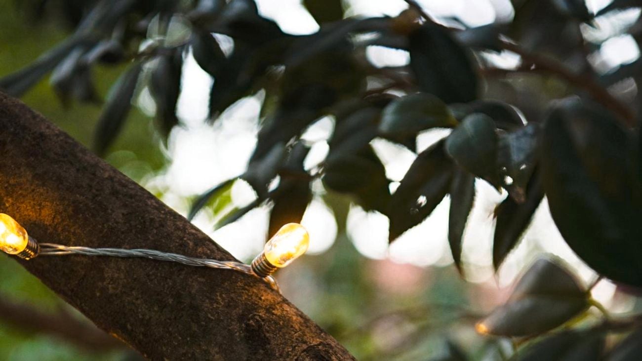 Stake lights in the shape of flowers.