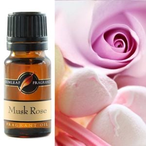 Musk Rose Fragrance Oil 10ml