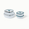 Anyday The Square Set | Kale | Glass Microwave Steamer