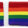 2x RAINBOW WRISTBANDS Gay Lesbian Pride LGBT Mardi Gras Party