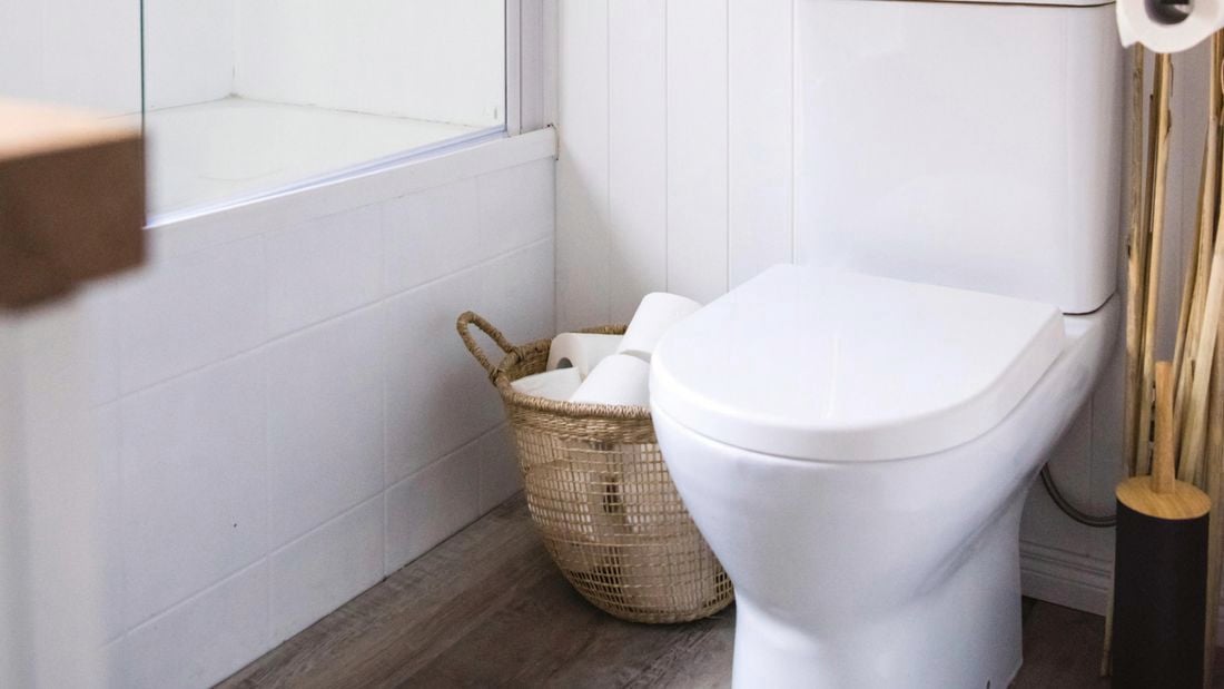 A porcelain toilet in a rustic bathroom setting