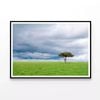 Detached Tree Grassland  Print 100% Australian Made 90x60cm  (Poster)