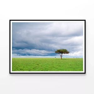 Detached Tree Grassland  Print 100% Australian Made 90x60cm  (Poster)