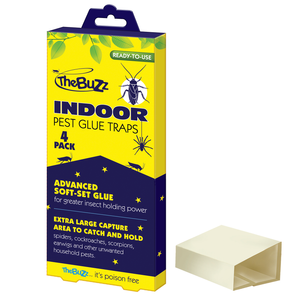 The Buzz Indoor Pest Glue Trap - 4 Pack
