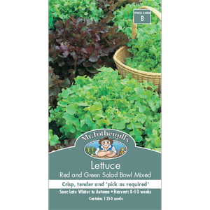 Mr Fothergill's Red Green Salad Bowl Lettuce Vegetable Seeds