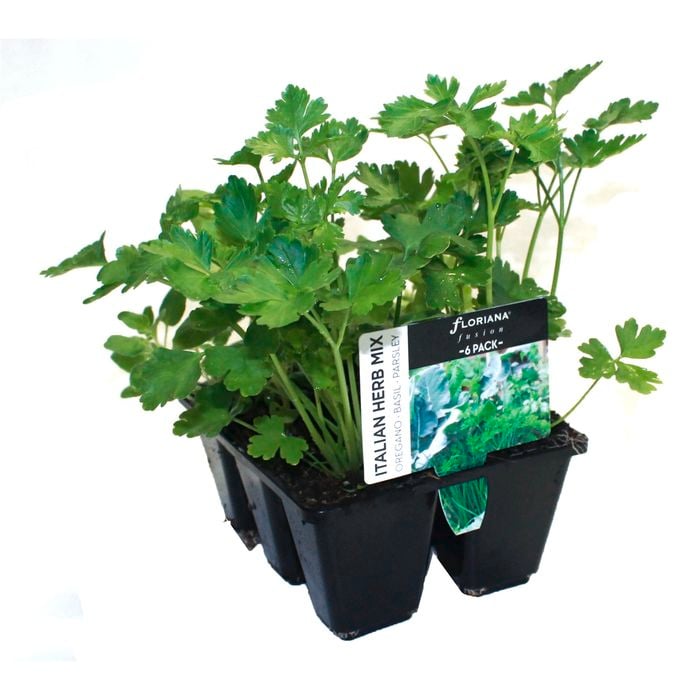 6 Cell Plant-Fusion Herb Range - Italian Herbs