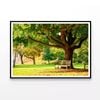 Kew Gardens Park  Print 100% Australian Made 90x60cm  (Poster)